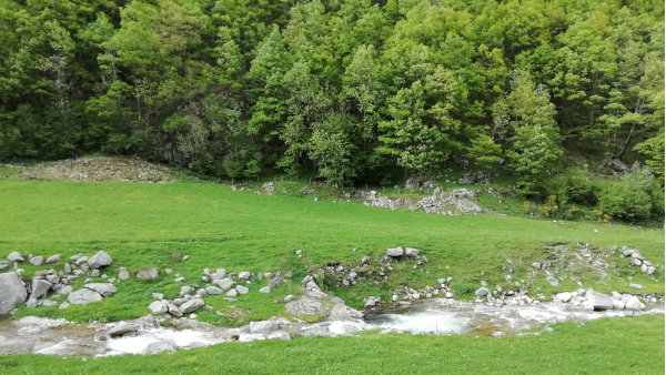 Les fortes pluges i el confinament han beneficiat la natura i afectat l'estat dels camins de muntanya