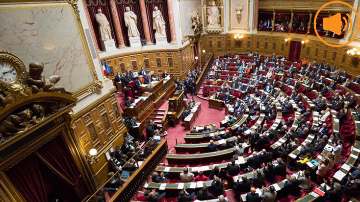 El Senat francès examina una proposta de llei  sobre les llengües dites regionals