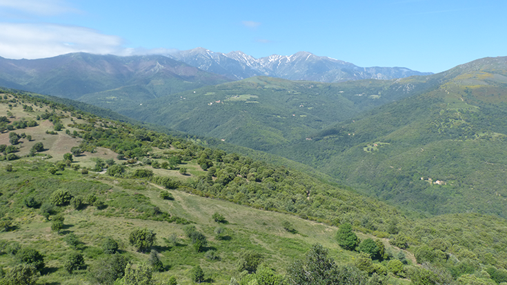 Cap de setmana especial Canigó: la Volta Santa Anna una nova proposta d'itinerari entre Aspres i Conflent sobre fons de Canigó.