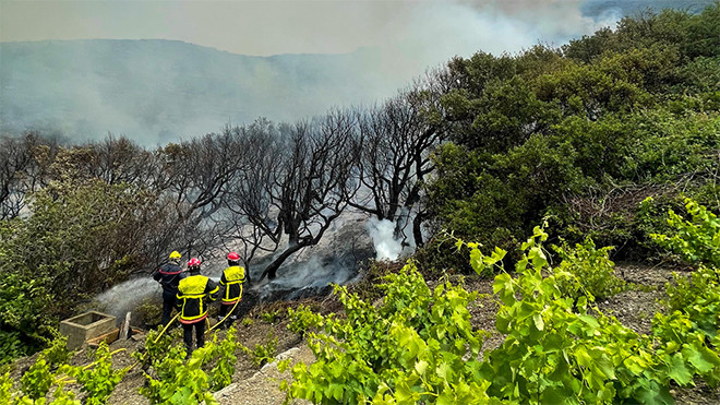 ACTUALITZACIÓ - L'incendi del Cap Biarra ha cremat 50 hectàrees