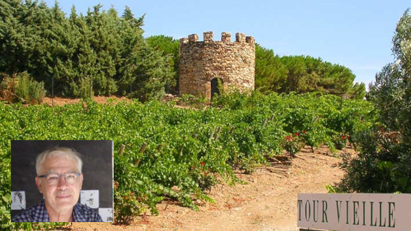 A les portes de les veremes, els vinyaters esperen que el consum de vi en bars i restaurant impulsi les vendes dels proxims mesos