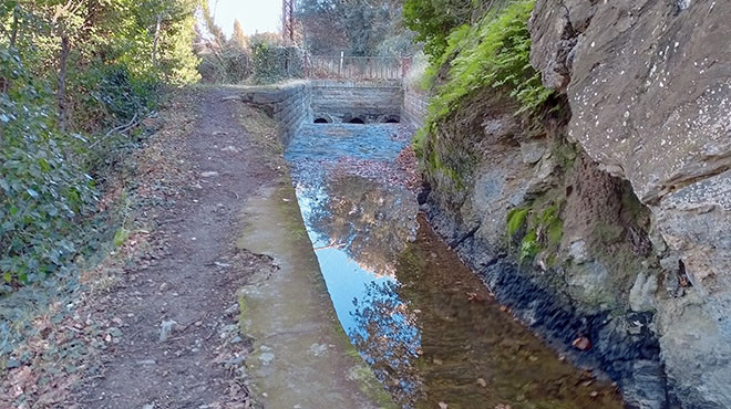 Temporada de vedellades pels ramaders i divergències per l'utilització de l'aigua de la Tet, al sumari del Punt Agrícola