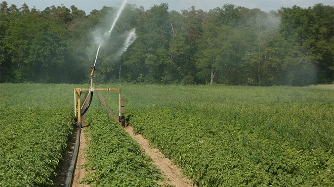 Els agricultors obtenen que la prefectura no imposi més restriccions d'aigua