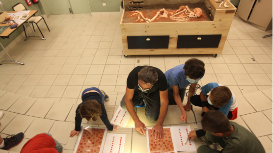 Aquestes vacances visita en família el Museu de Prehistòria de Talteüll 