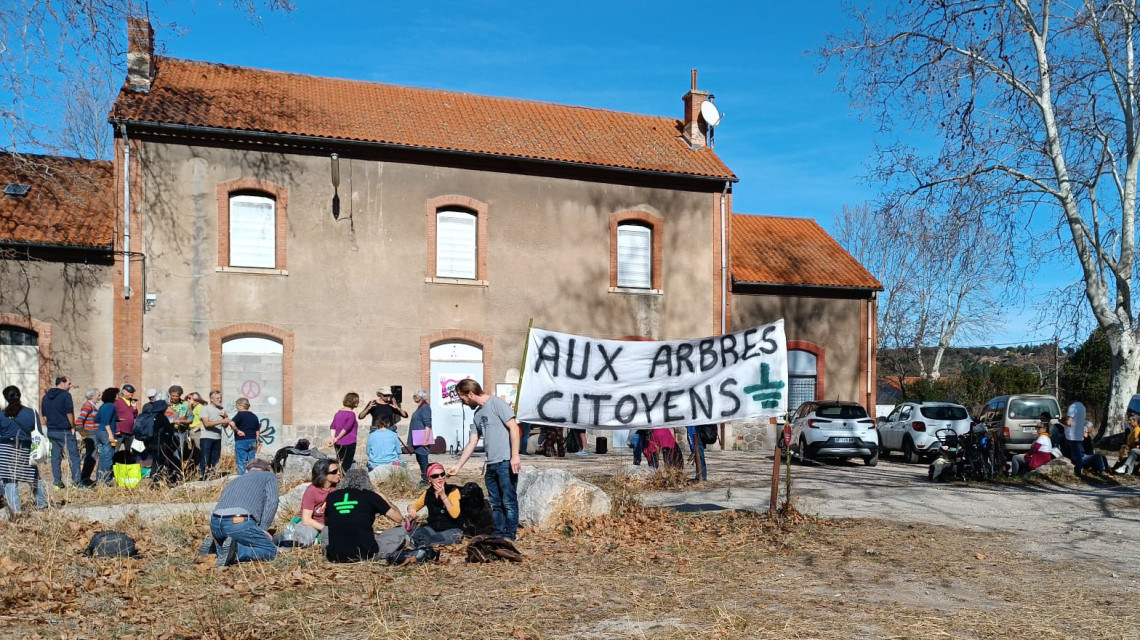 Aquest dimecres, Bien Vivre en Vallespir celebrava una victòria per la preservació de 5 arbres centenaris