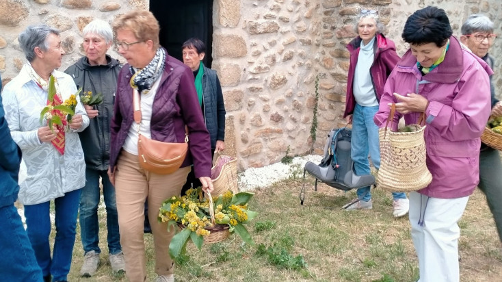 Benedicció de les herbes de Sant Joan al Conflent