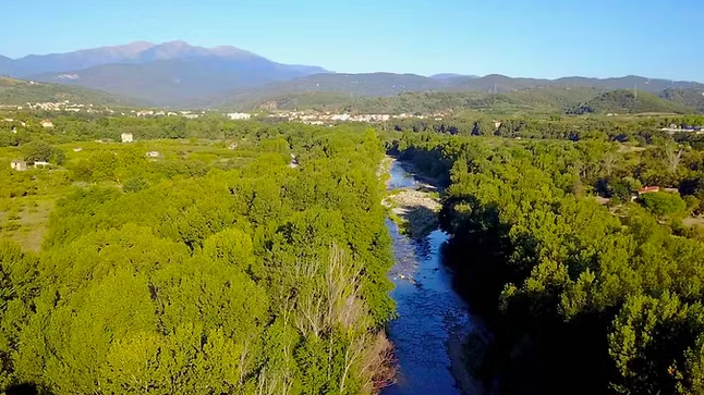 4t Pont de Ceret, la batalla continua per l’associació Bien Vivre en Vallespir