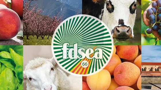 JA - FDESA vol continuar liderant la Cambra d’Agricultura