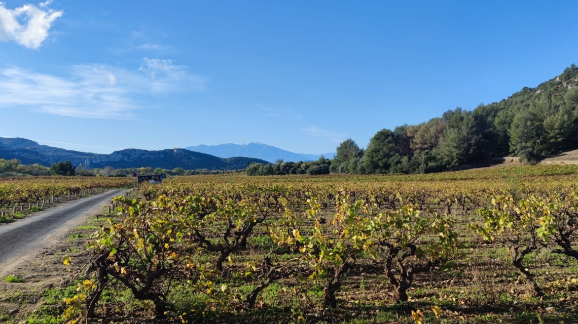 Eleccions a la Cambra d’Agricultura 2025