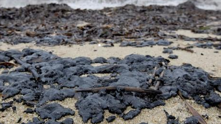 Tota la costa de Catalunya Nord ja està afectada per la contaminació de boletes d’hidrocarburs