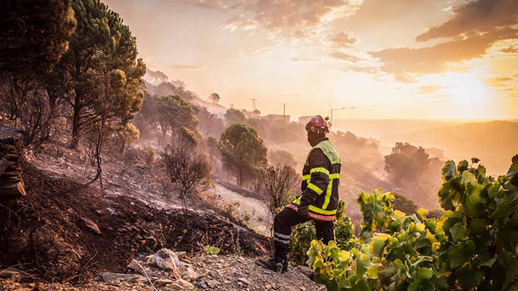 L’incendi de Banyuls de la Marenda està controlat