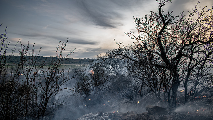 Després del foc de Banyuls de la Marenda la prefectura insisteix sobre el risc elevat d’incendis a Catalunya Nord