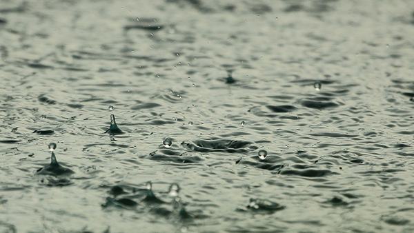 Vigilància groga per pluges i inundacions