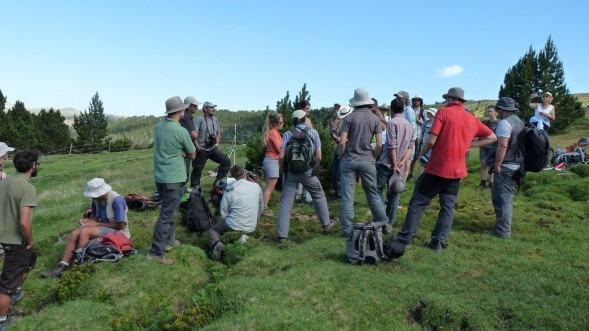 Cooperació transfronterera per protegir les espècies botàniques amenaçades del Pirineu