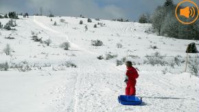 Una part de l’activitat turística de Cerdanya i Capcir ha resistit prou bé al tancament de les pistes