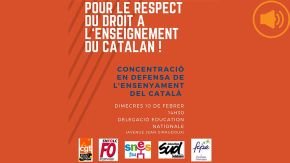 Manifestació  a favor de l’ensenyament en català.