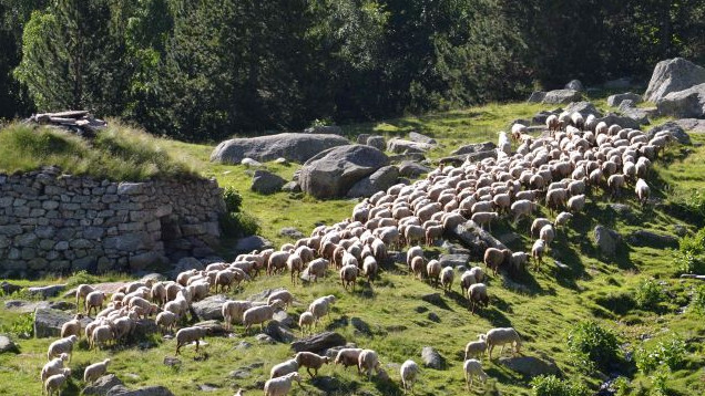 La Confederació Pagesa vol ser un canvi a la Cambra d’Agricultura